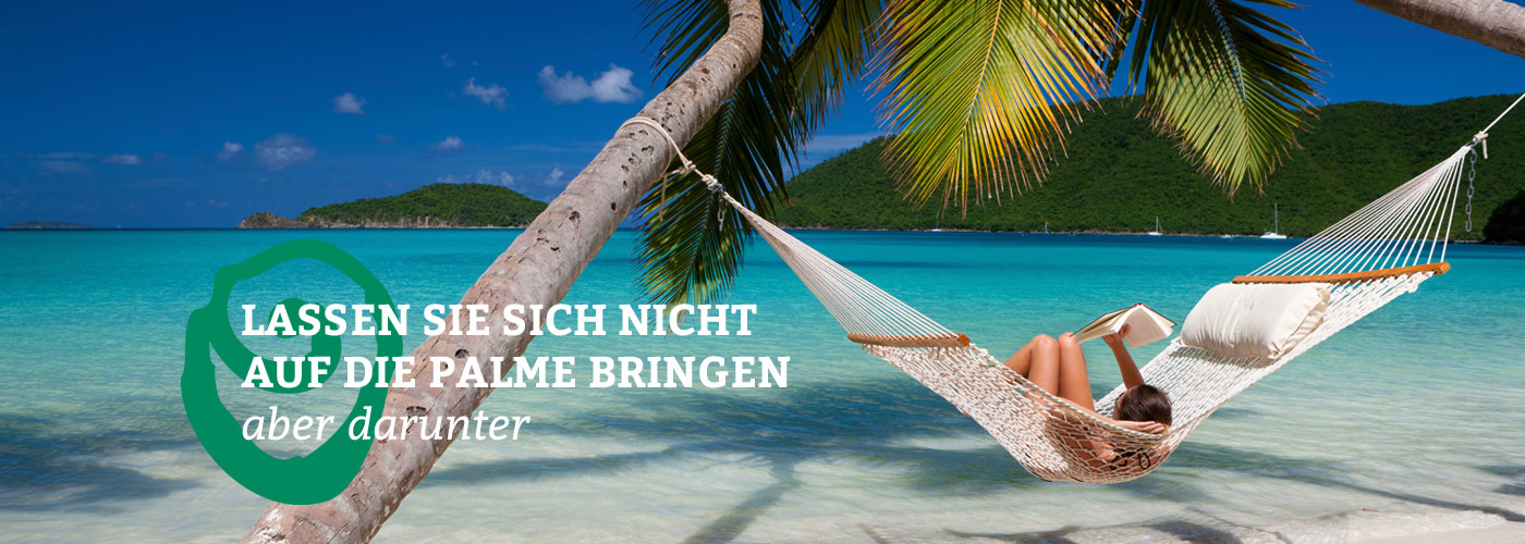 Buchsreisen - unter Palmen